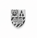 Pin magnetic
